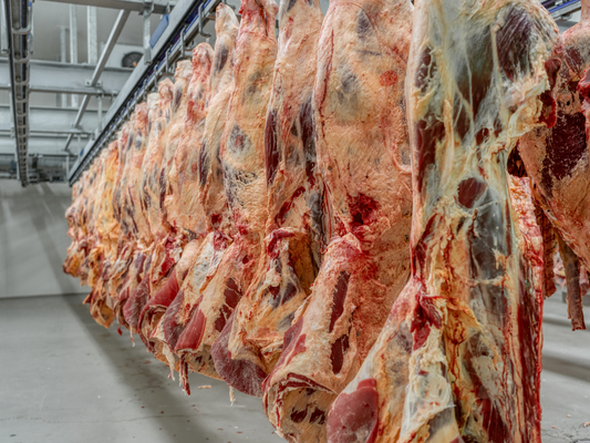 How Much Beef Do You Really Get from a Quarter Cow in Colorado?