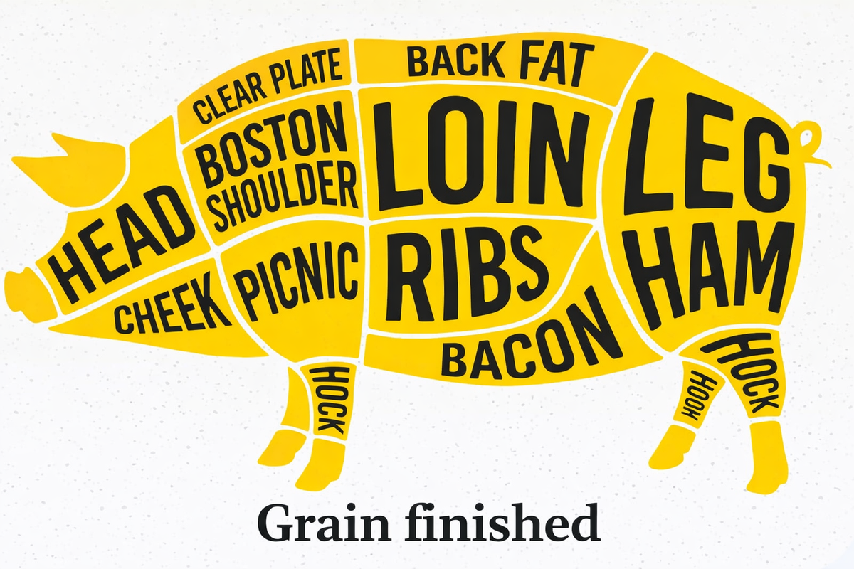 Diagram of a pig with labeled cuts of meat, including head, cheek, shoulder, picnic, clear plate, loin, ribs, bacon, back fat, leg, ham, and hock. Featuring high-quality Natural Pasture/Grain Finished Pork IPP from winterscattleranch. The text “Grain finished” appears at the bottom.