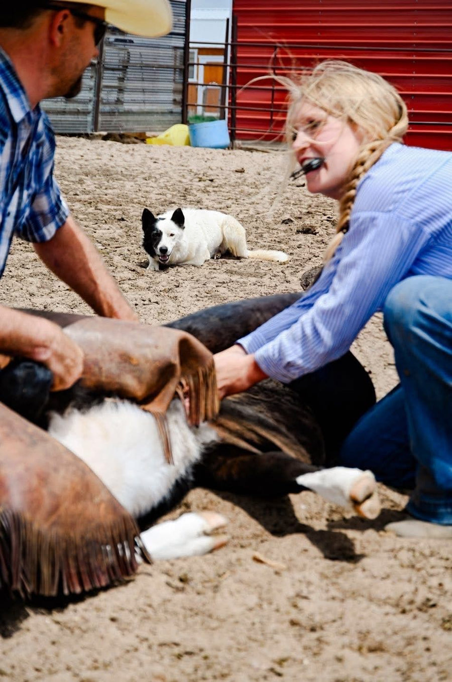 Winters family working a calf at branding