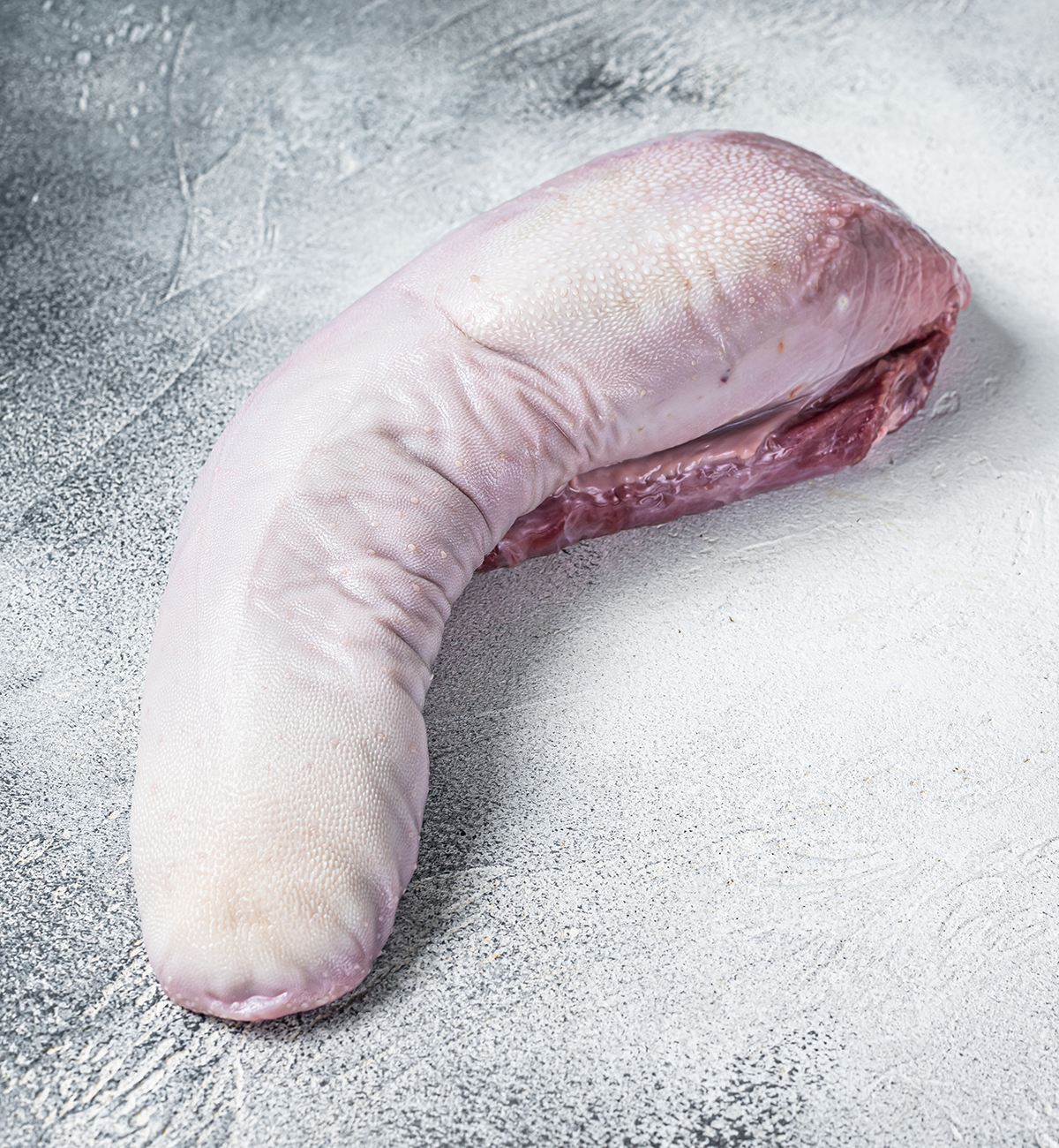 A fresh Winters Cattle Ranch Beef Tongue with pale, slightly textured skin and visible red muscle rests on a light gray textured surface.